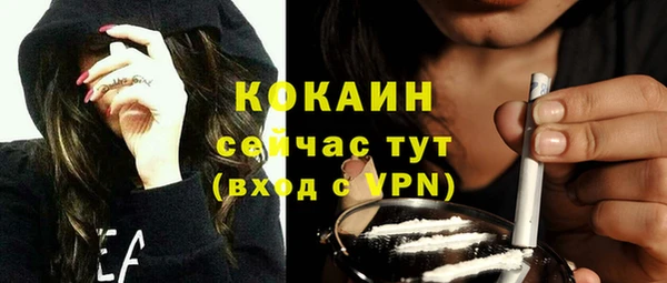 ешки Арсеньев