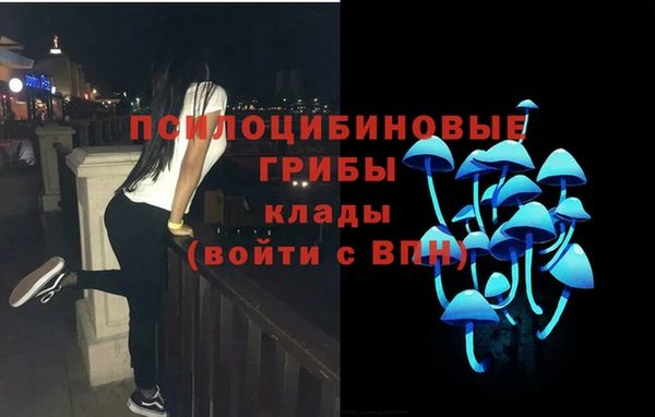 ешки Арсеньев