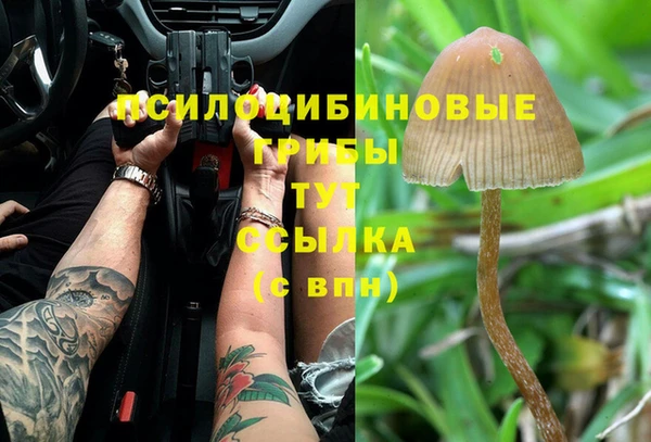 apvp Аркадак