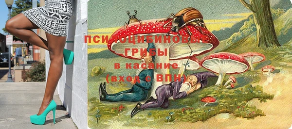 первитин Армянск
